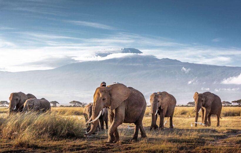 5 DAYS KENYA'S CLASSIC