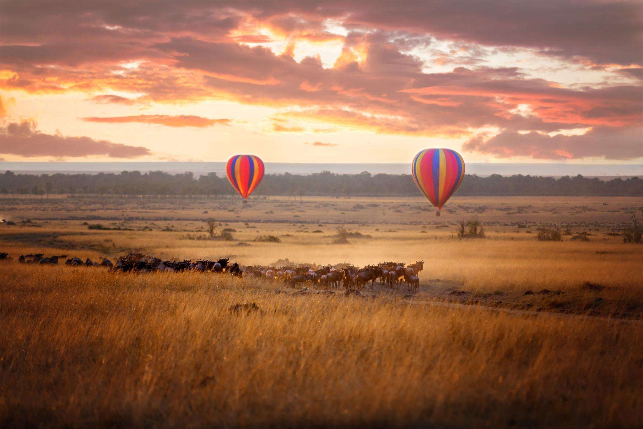 masai-mara-balloon-safari-with-a-sunrise