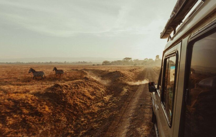 6 DAYS CLASSIC AFRICAN SAFARI.