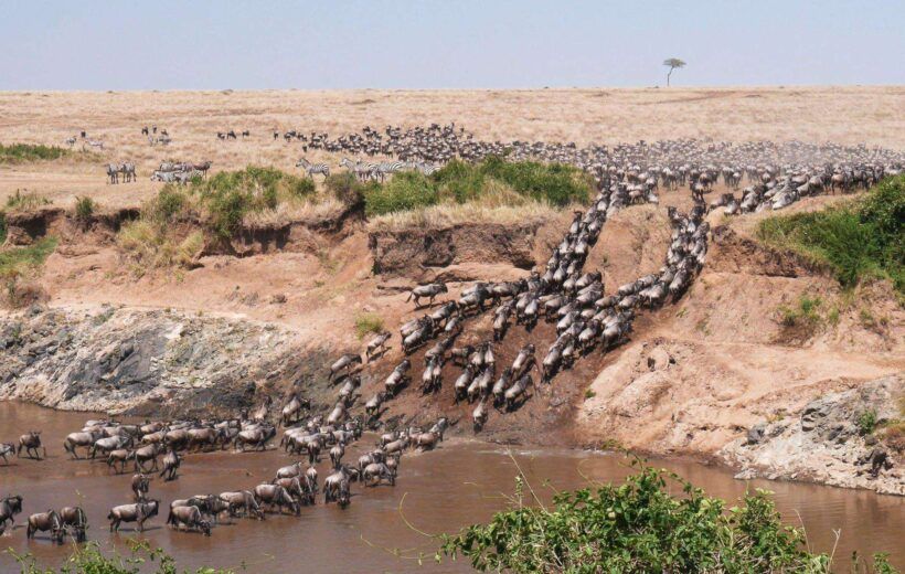 8 DAYS BEST OF KENYAN NATURE.