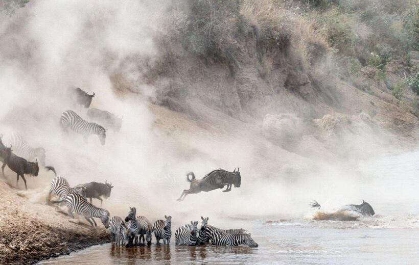 4 Days Masai Mara - Lake Nakuru Adventure Safari