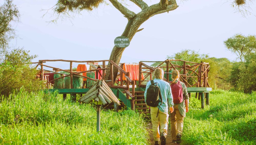 Experience an adventurous journey through the wild landscapes of Africa. Witness the scene of a bustling Kenyan safari, full of wildlife. View a spectacular sunset casting a warm, golden hue over the sprawling savannah, with acacia trees dotting the horizon. Observe mightily roaring lions, wild elephants spraying water, zebras with their unmistakable black and white stripes, nimble gazelles prancing around, and exotic birds soaring in the clear blue sky. Absorb the awe-inspiring sight of Mount Kilimanjaro piercing the clouds in the distance. Feel the aura of the untamed, majestic wilderness.