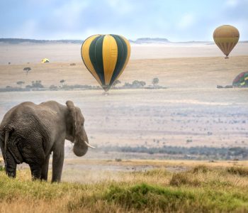 balloon-safari--scaled.jpg